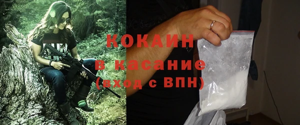 винт Липки